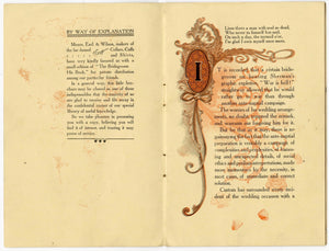 1904 Antique The Bridegroom, His Book, Wedding Advice Pamphlet