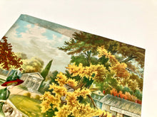 Load image into Gallery viewer, Antique 1910's AN AUTUMN DRIVE Lithograph, Print, Gibson Girl, Carriage