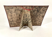 Load image into Gallery viewer, Antique Edwardian JAPP'S HAIR REJUVENATOR Metal Store Display, Sign