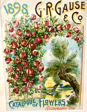 Load image into Gallery viewer, 1898 G.R. Gause &amp; Co. CATALOGUE OF FLOWERS || Framed Magazine