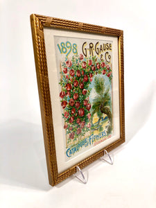 1898 G.R. Gause & Co. CATALOGUE OF FLOWERS || Framed Magazine