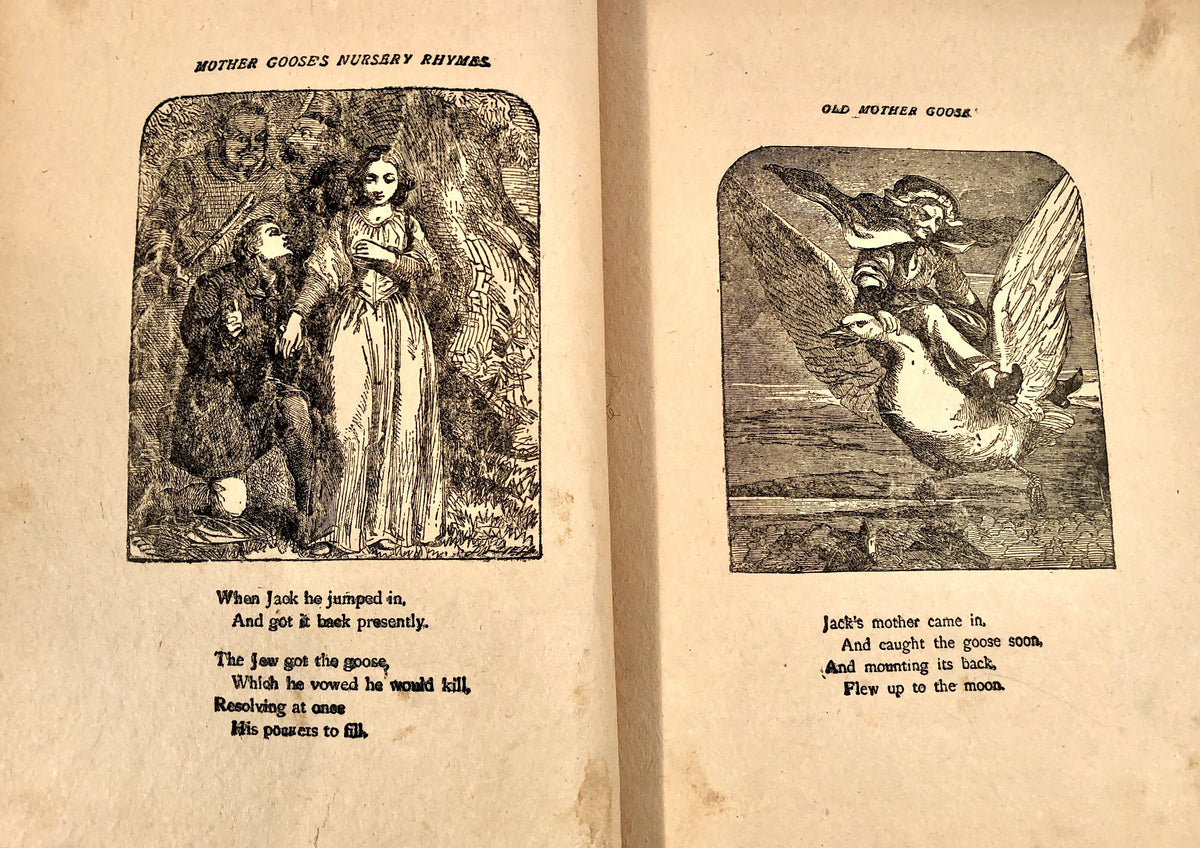 IMG_3453_1200x1200.jpg?v=