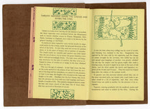 Load image into Gallery viewer, 1920's TAPESTRIES THROUGHOUT THE AGES Needlepoint History Book, Fashion & Art History