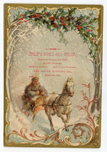 Load image into Gallery viewer, 1894 Victorian CAPITAL IllUSTRATED ALMANAC, Federal Government, Congress