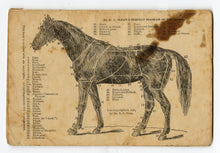 Load image into Gallery viewer, 1895 Dr. Earl Sloan's TREATISE OF THE HORSE Partial Pamphlet PDF, Horse Remedies