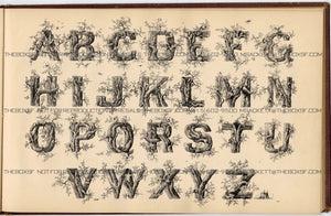 1879 Antique AMES' ALPHABETS Full Book PDF ONLY, Typography, Lettering, Design  