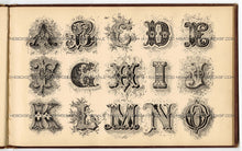 Load image into Gallery viewer, 1879 Antique AMES' ALPHABETS Full Book PDF ONLY, Typography, Lettering, Design