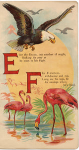 1916 THE ABC BOOK OF BIRDS Children's Alphabet Book PDF ONLY, Will F. Stecher