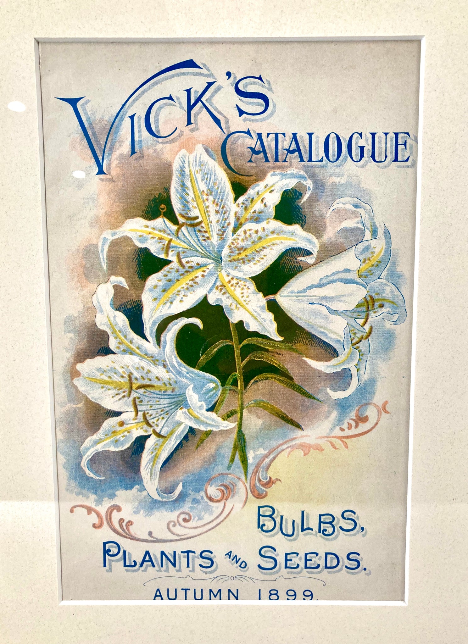 flower seeds catalogs 1899 Framed VICK'S SEED CATALOG Cover/ Lithograph, Flowers, Plants – TheBoxSF