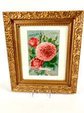 Load image into Gallery viewer, Antique Framed NEW GUIDE TO ROSE CULTURE 1897 Cover Lithograph