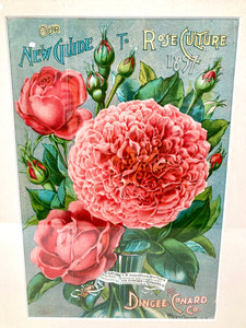 Antique Framed NEW GUIDE TO ROSE CULTURE 1897 Cover Lithograph