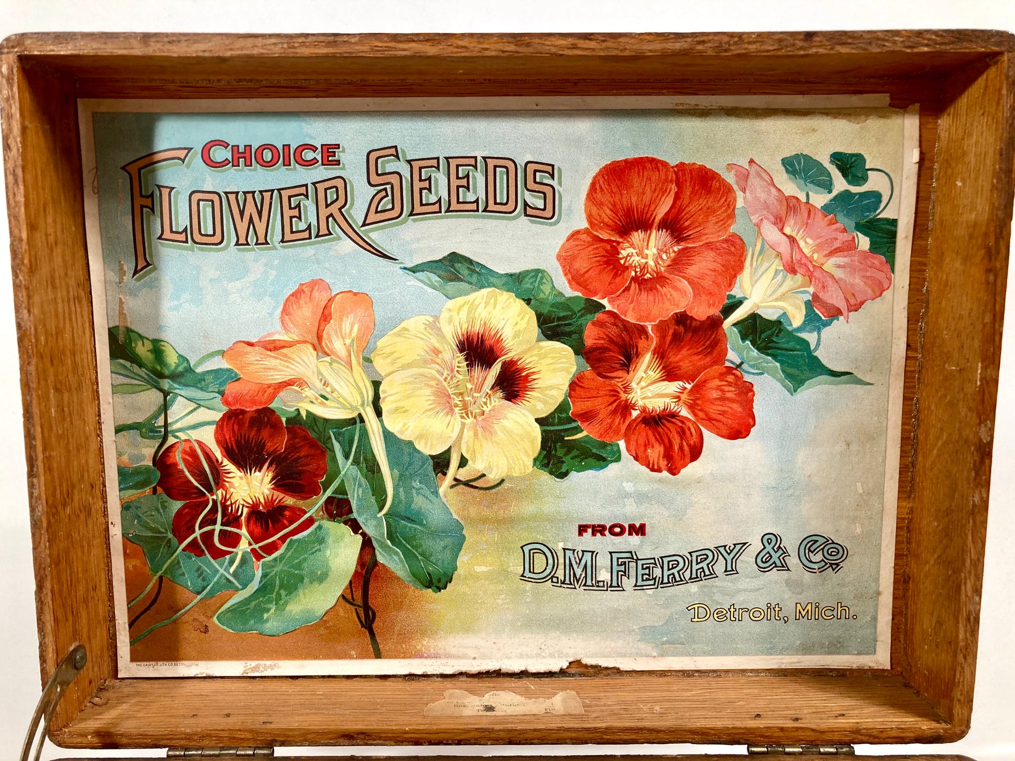 box of flower seeds Antique D.M. Ferry, Choice FLOWER SEEDS, Original Seed Packet BOX, Det – TheBoxSF
