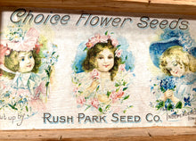 Load image into Gallery viewer, Three Kids, Choice FLOWER SEEDS Box, Old Vintage, Rush Park Seed Co.