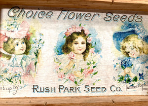 Three Kids, Choice FLOWER SEEDS Box, Old Vintage, Rush Park Seed Co.