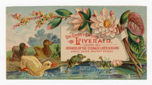 Load image into Gallery viewer, Victorian Dr. Grosvenor&#39;s Liveraid, Quack Medicine Trade Card || Ducks &amp; Frogs