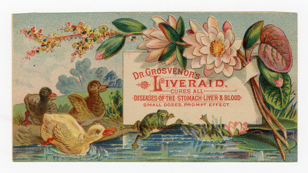 Victorian Dr. Grosvenor's Liveraid, Quack Medicine Trade Card || Ducks & Frogs