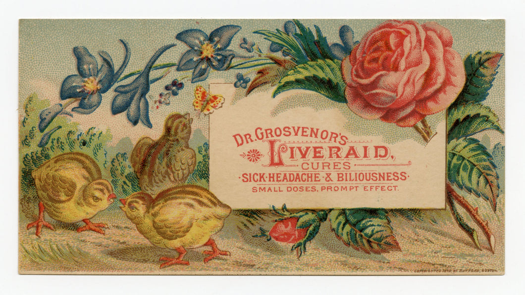Victorian Dr. Grosvenor's Liveraid, Quack Medicine Trade Card || Chicks