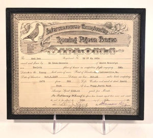 1937 Interconcourse Championship HOMING PIGEON RACES Diploma, Framed