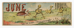Victorian Alden Fruit Vinegar Trade Card || June Chicks Bookmark