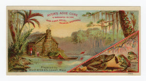 Victorian Ayer's Ague Cure, Quack Medicine Trade Card || Alligator, Frogs