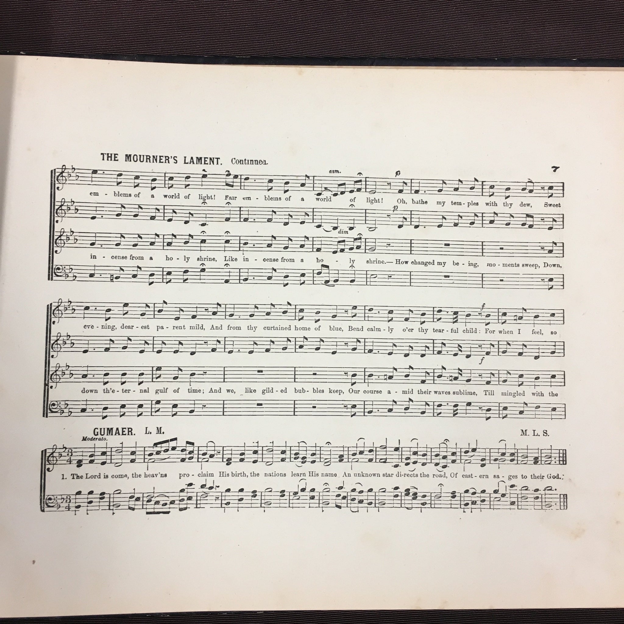 1879 Antique Beautiful Wild Wood Home Instrumental and Vocal Score, Bo ...