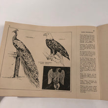 Load image into Gallery viewer, Bird Illustration Lesson || Industrial Applied Art Book