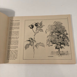 Flower illustration lesson in Industrial Applied Art Book