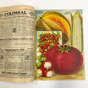 Vintage Isbell’s Co. Seed Catalogue