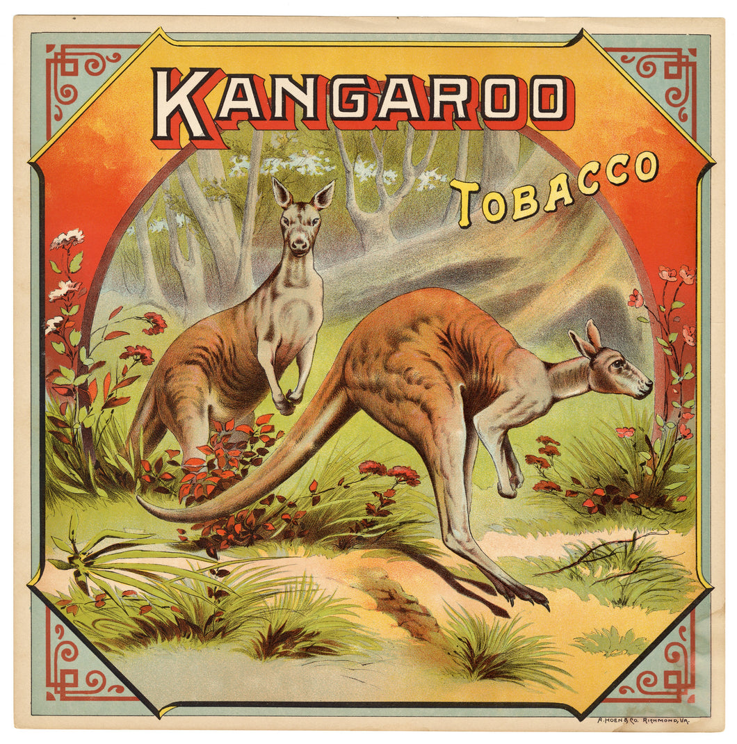 KANGAROO Caddy Crate Label || A. Hoen & Co., Old, Vintage - TheBoxSF
