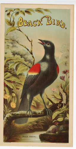 BLACK BIRD Caddy Crate Label, Long || A. Hoen and Co. Lithograph, Old, Vintage - TheBoxSF