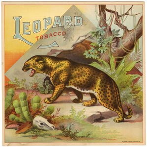 LEOPARD Caddy Crate Label || A. Hoen & Co. Lithograph, Antique - TheBoxSF