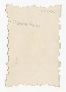 Antique 1910's VALENTINE'S DAY Card || "With Love and Best Wishes"