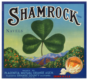 Unused Shamrock Navel Oranges Fruit Crate Label|| St. Patrick's Day