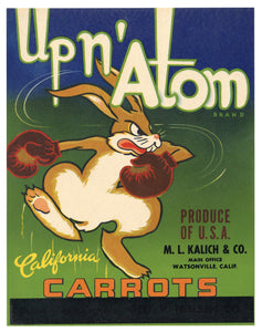 Vintage, Unused UP N' ATOM Carrot Label, Boxing Rabbit || Watsonville, Ca.