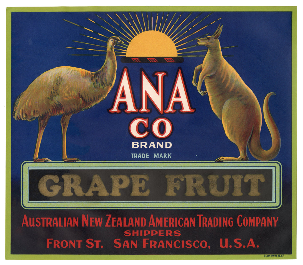 Vintage, Unused ANA Co. Brand Grapefruit Label, Emu, Kangaroo || San Francisco, Ca.
