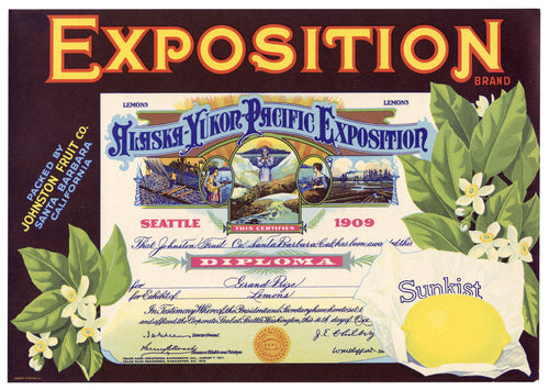 Vintage, Unused Alaska Yukon EXPOSITION Brand Citrus Label || Santa Barbara, Ca.
