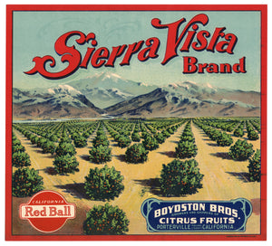 Vintage, Unused SIERRA VISTA Brand Citrus Fruit Label || Porterville, Tulare, Ca.