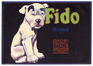 Vintage, Unused FIDO Citrus Fruit Crate Label, Dog || Orosi, Tulare, Ca.