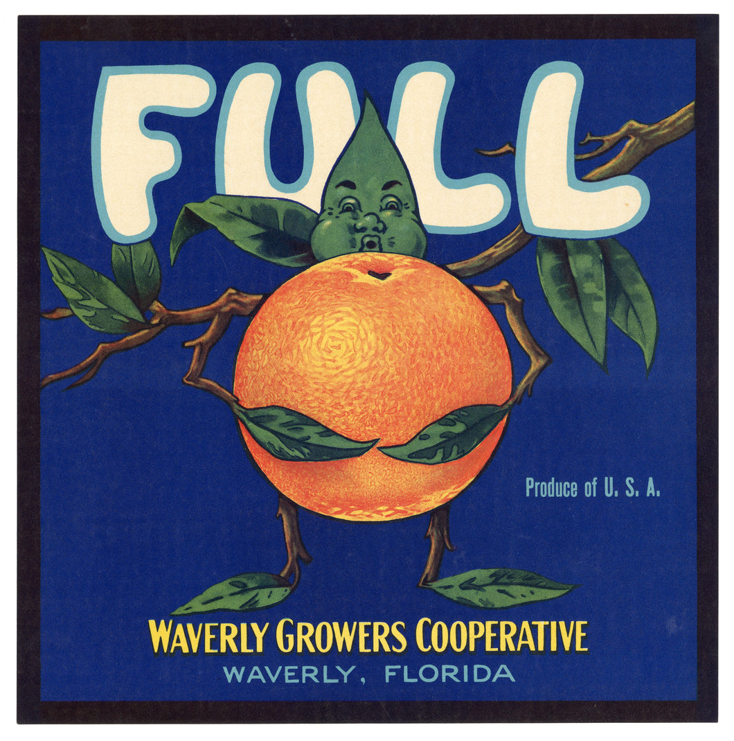 Vintage, Unused FULL Brand Orange Fruit Crate Label || Waverly, Florida