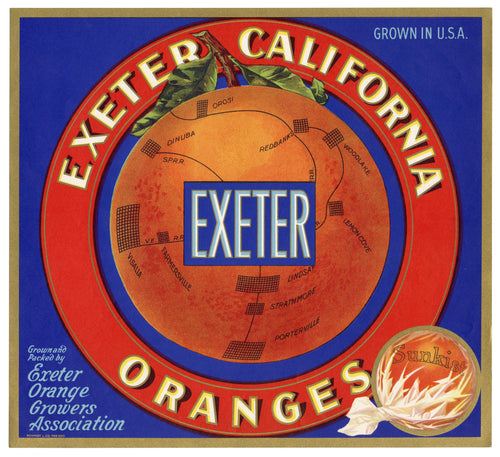 Vintage, Unused EXETER Orange Fruit Crate Label || Exeter, Ca.