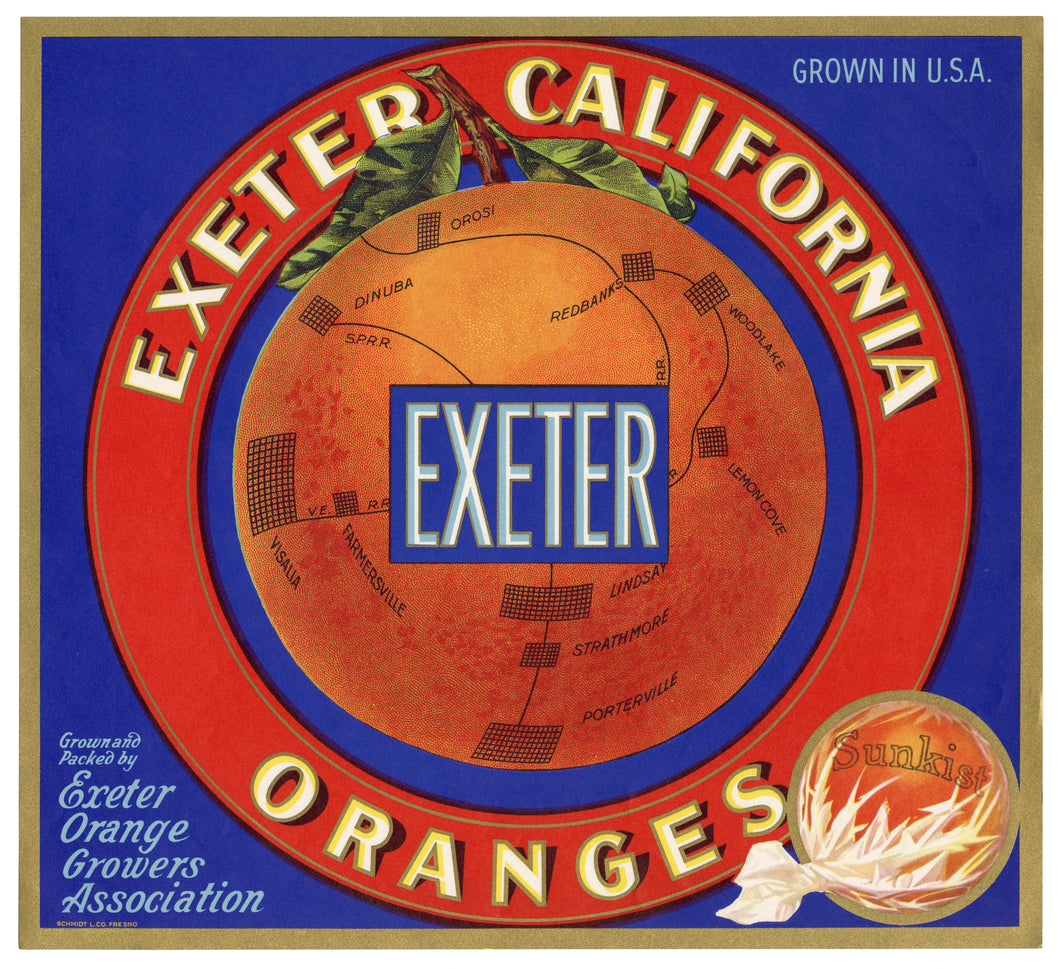 Vintage, Unused EXETER Orange Fruit Crate Label || Exeter, Ca.