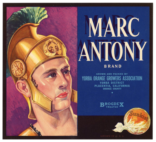 Vintage, Unused MARC ANTONY Citrus Crate Label || Placentia, Ca.