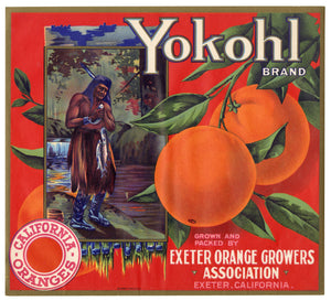 Vintage, Unused YOKOHL Brand Orange Fruit Crate Label || Exeter, Ca.