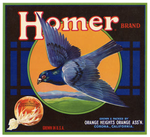 Vintage, Unused HOMER Orange Fruit Crate Label, Pigeon || Corona, California