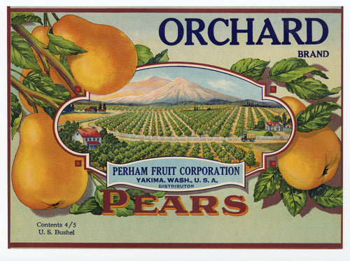 Vintage, Unused ORCHARD Brand Pear, Fruit Crate Label || Yakima, Washington