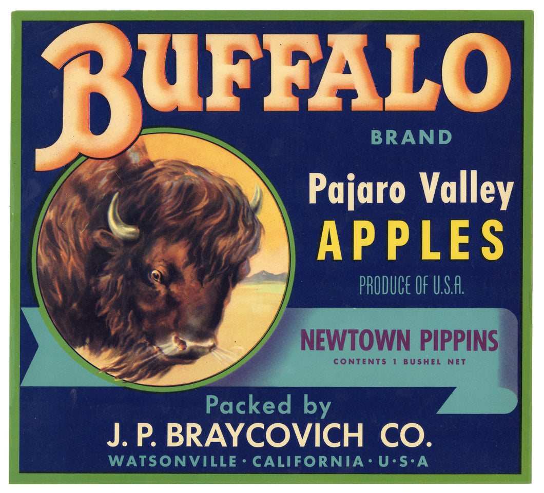 Vintage, Unused BUFFALO Brand Apple, Fruit Crate Label || Watsonville, Ca.