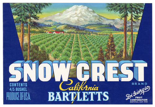 Vintage, Unused SNOW CREST Pear, Fruit Crate Label || Marysville, Ca.