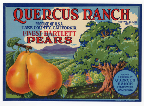 Vintage, Unused QUERCUS RANCH Brand Pear, Fruit Crate Label || Kelseyville, Ca.
