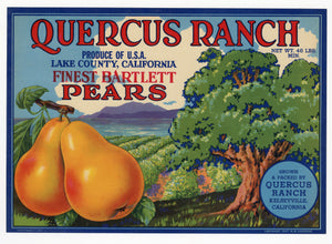 Vintage, Unused QUERCUS RANCH Brand Pear, Fruit Crate Label || Kelseyville, Ca.