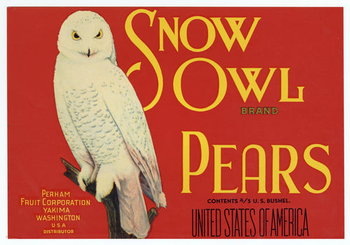 Vintage, Unused SNOW OWL Brand Apple, Fruit Crate Label || Yakima, Washington